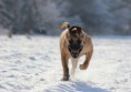 /album/anka/wandelen-021-jpg/